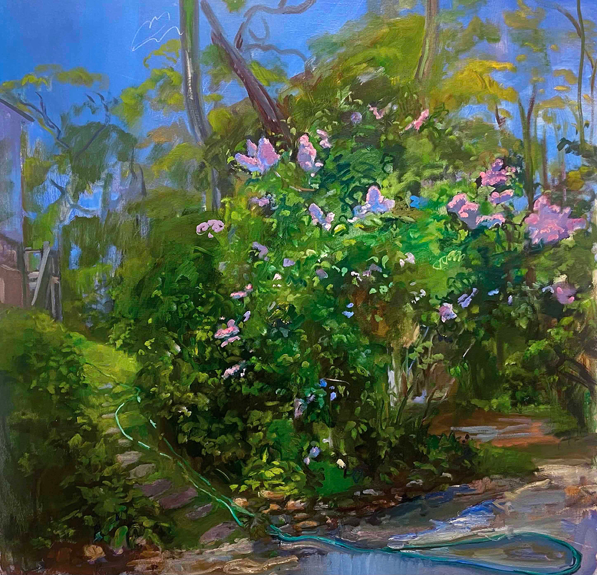 Ying li